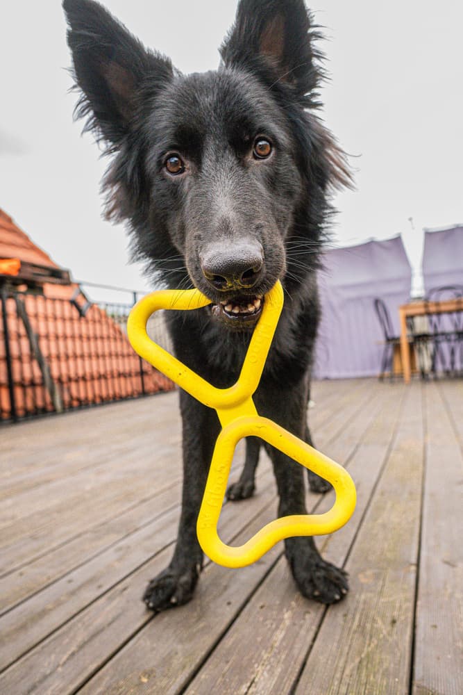 kelluva vetolelu, keltainen, view: 3