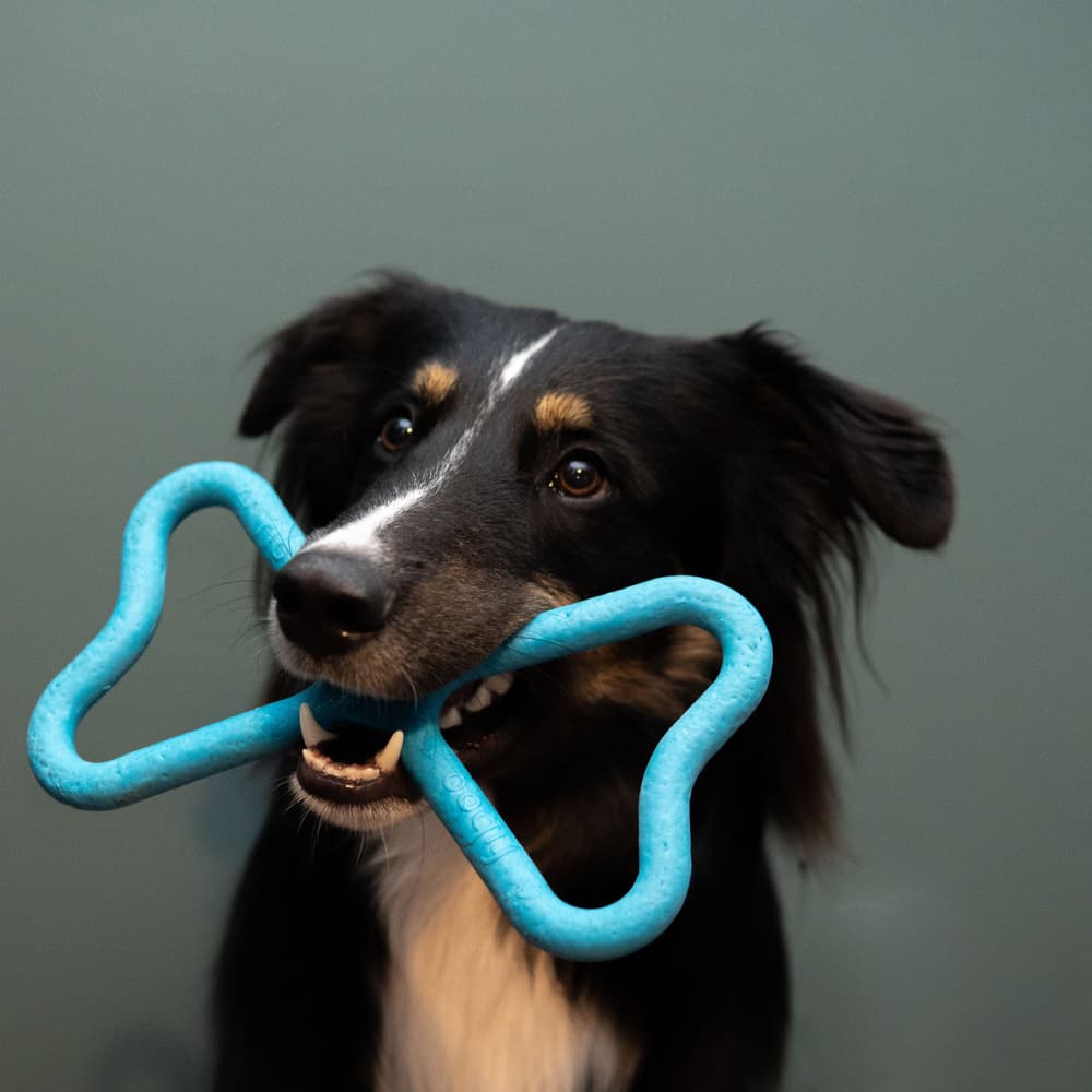 kelluva vetolelu, sininen, view: 1