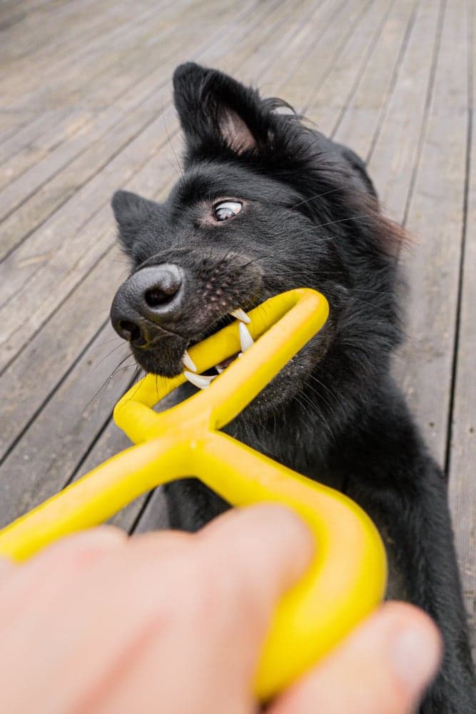 kelluva vetolelu, vihreä, view: 3