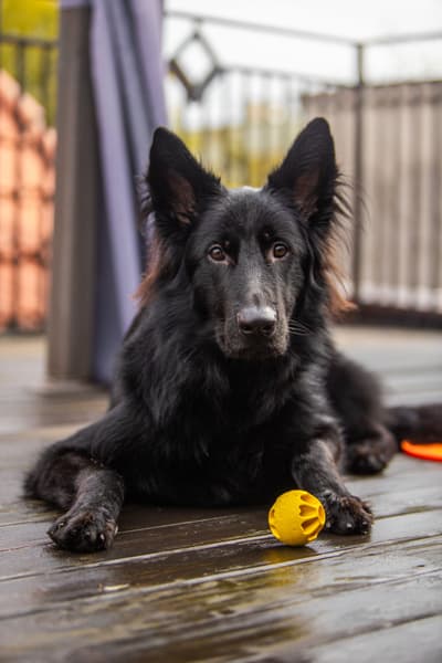 kelluva aktivointipallo, vihreä, view: 2