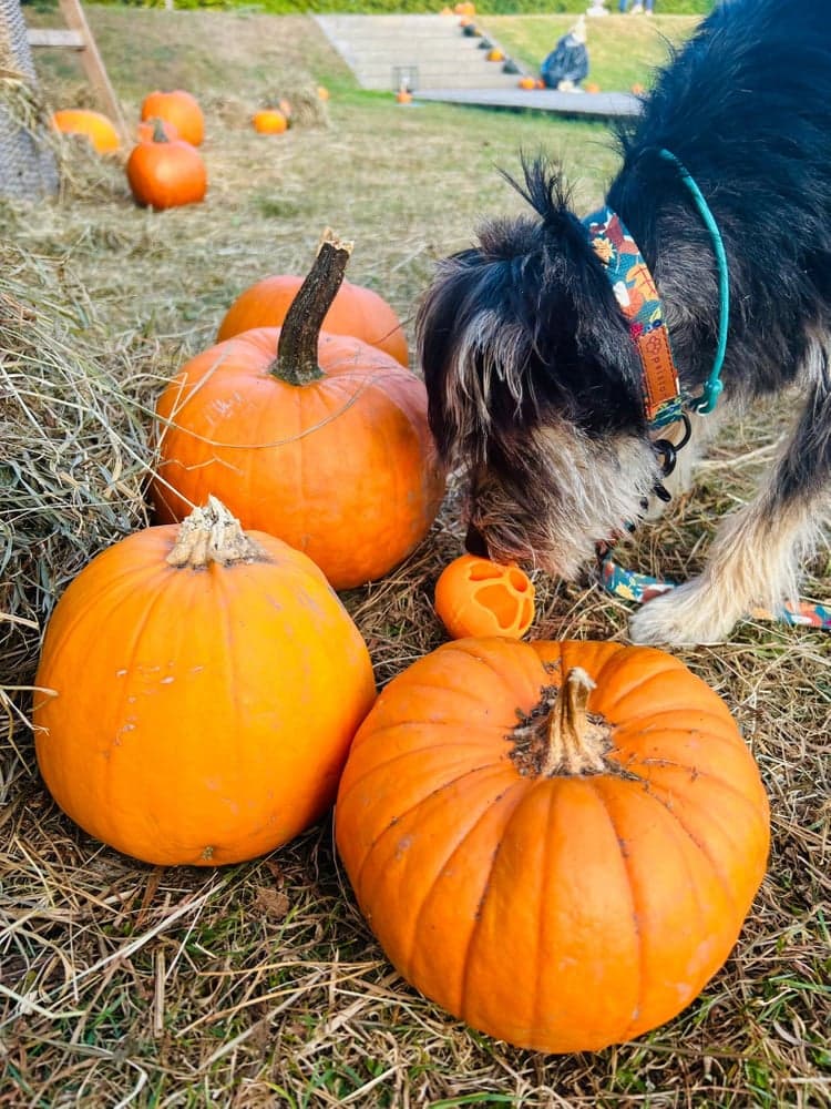kelluva aktivointipallo, keltainen, view: 3