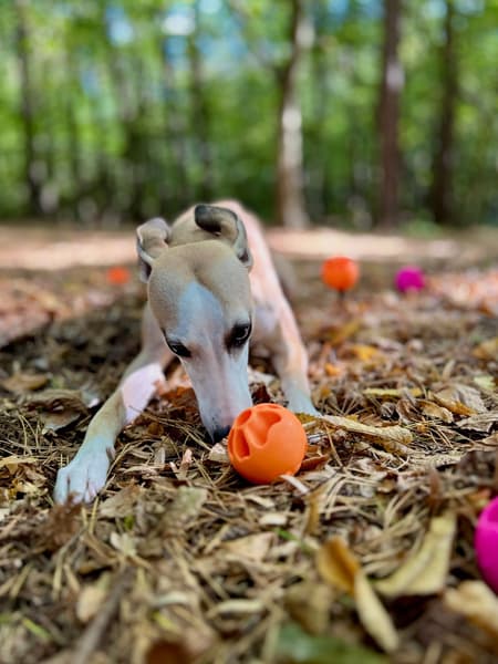 kelluva aktivointipallo, oranssi, view: 2