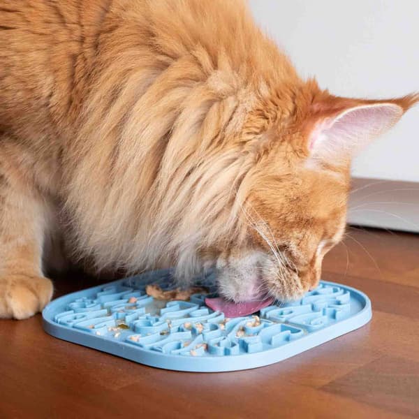 Lollipop ruokamatto, 19 cm, harmaa, view: 1