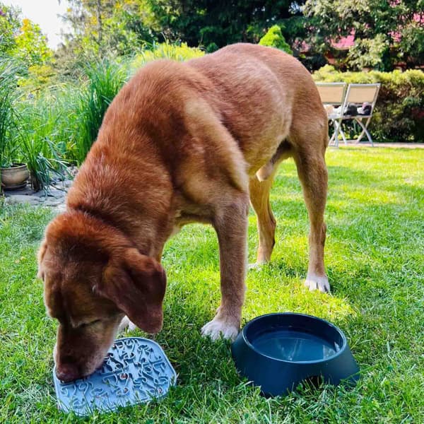 Lollipop ruokamatto, 19 cm, beige, view: 4