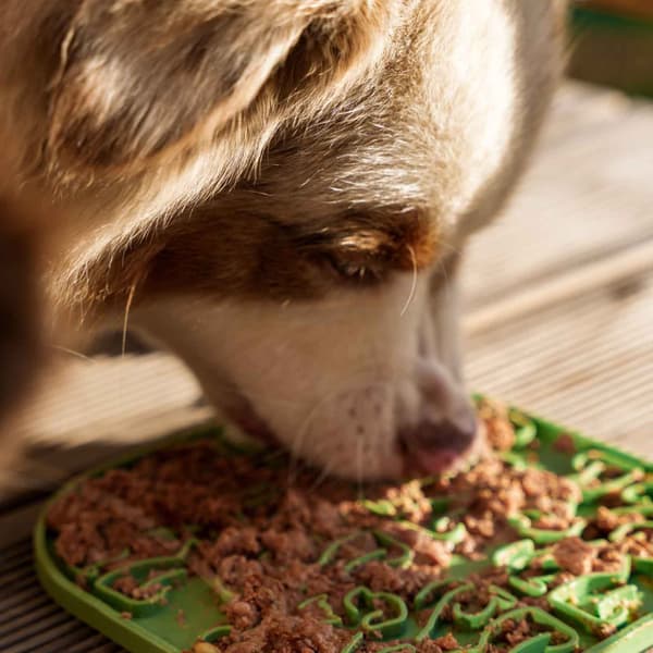 Lollipop ruokamatto, 19 cm, harmaa, view: 2