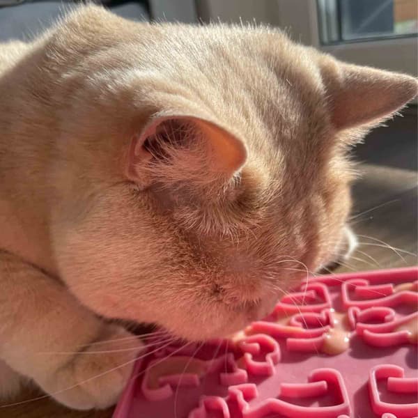 Lollipop ruokamatto, 19 cm, roosa, view: 1