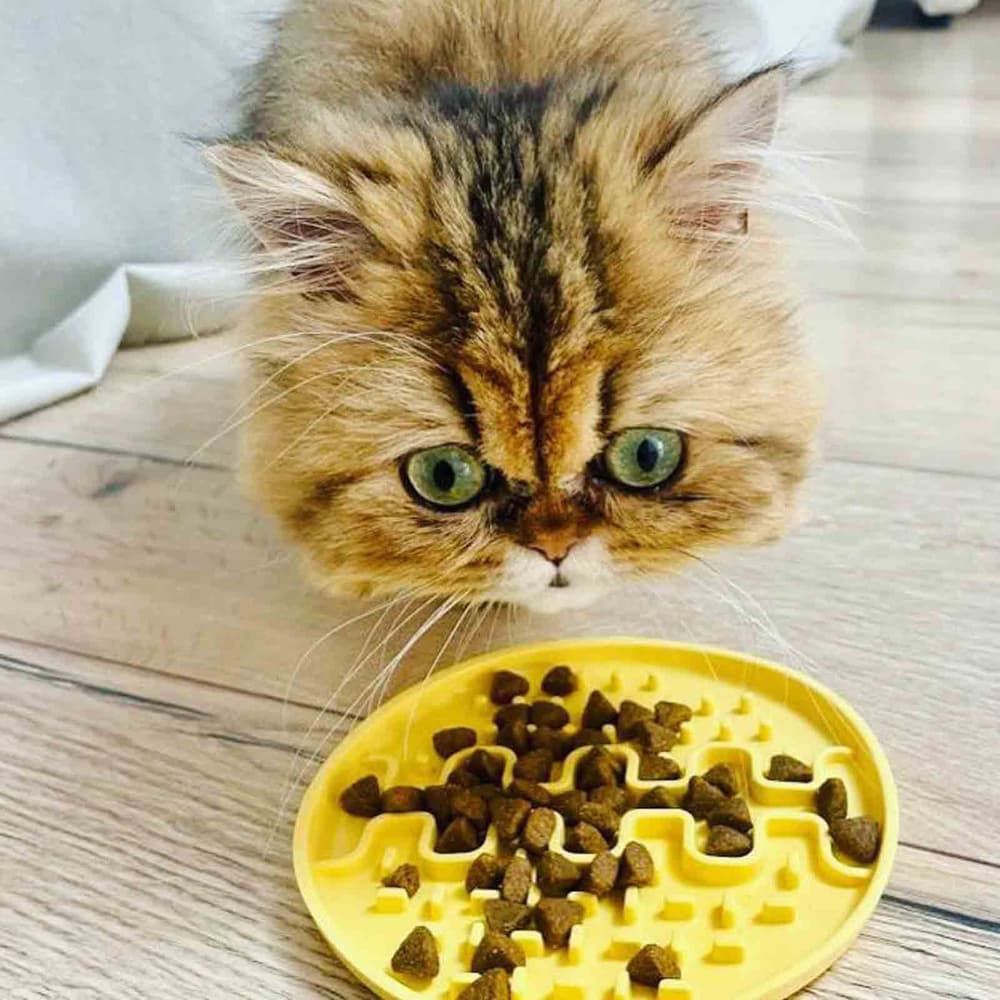 Lollipopp nuolumatto Mini 13cm beige, view: 2