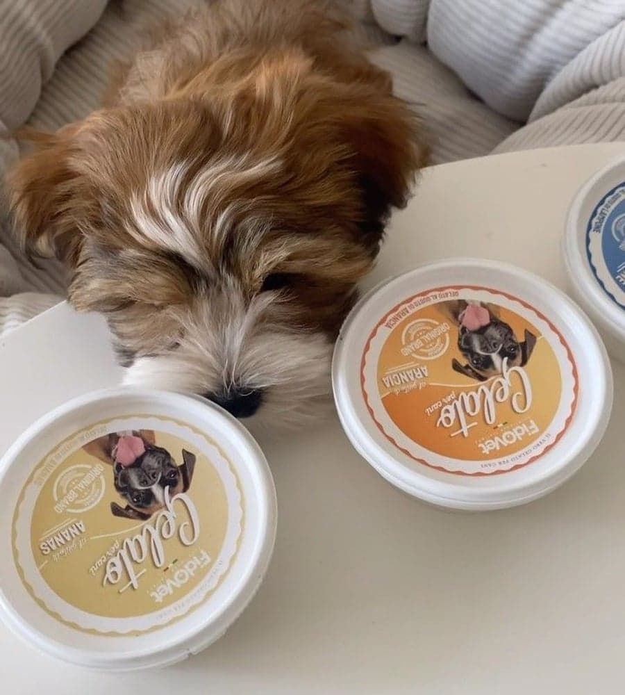 koirien jäätelö Gelato Ananas 40g, view: 3