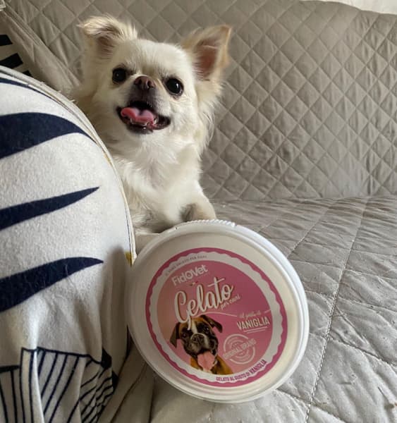 koirien jäätelö Gelato vanilja 40g, view: 2