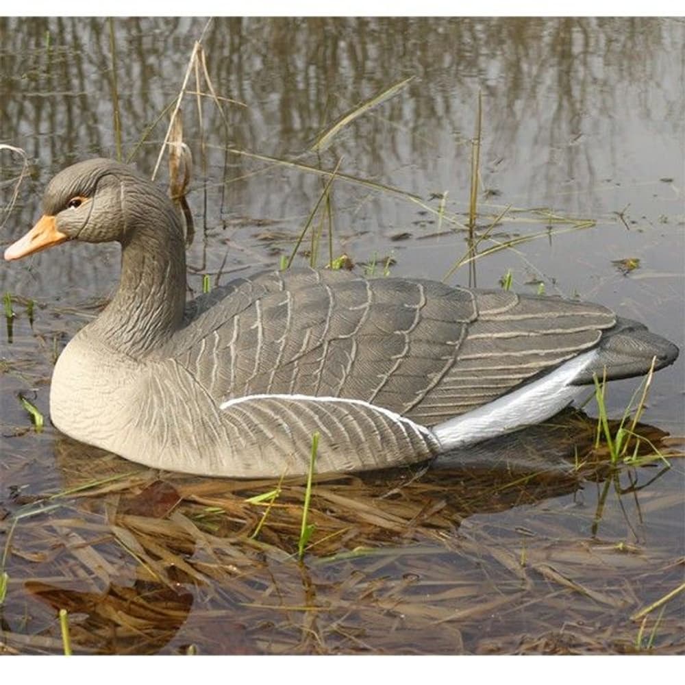 Last Pass -merihanhikaave, 6 kpl, kelluva, view: 0