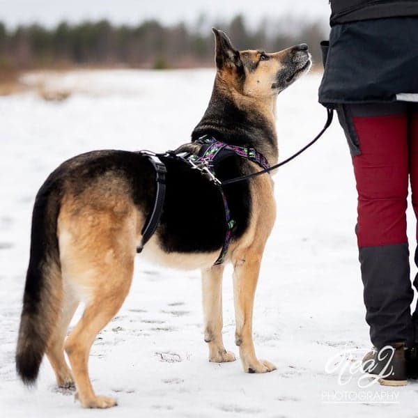 FinNero RESCUE valjas stoppari, musta, view: 1