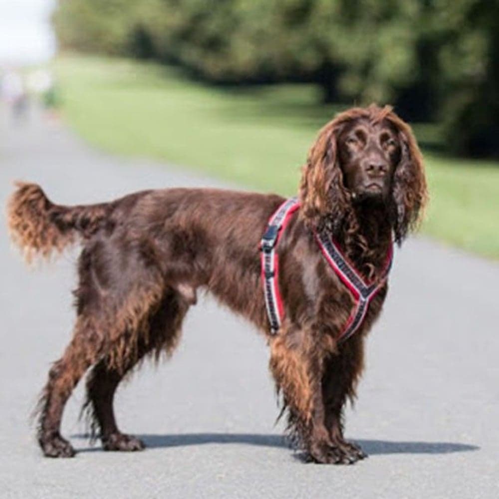 Ratia 8-shape -valjaat, punainen, view: 3