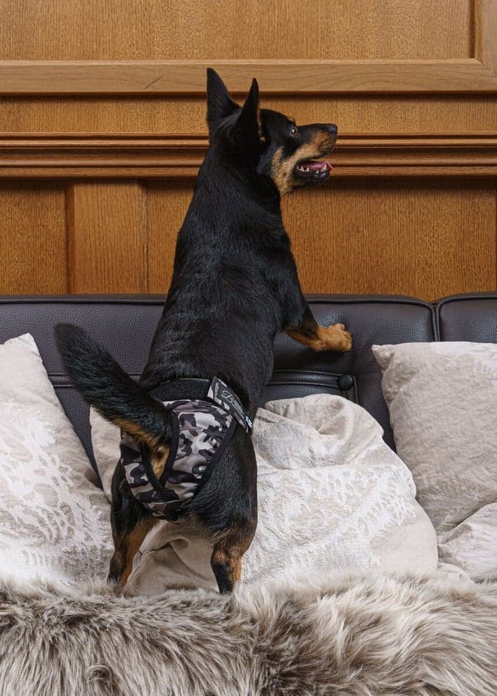 BRENDA narttujen juoksuhousut, camo, M-XL, view: 4