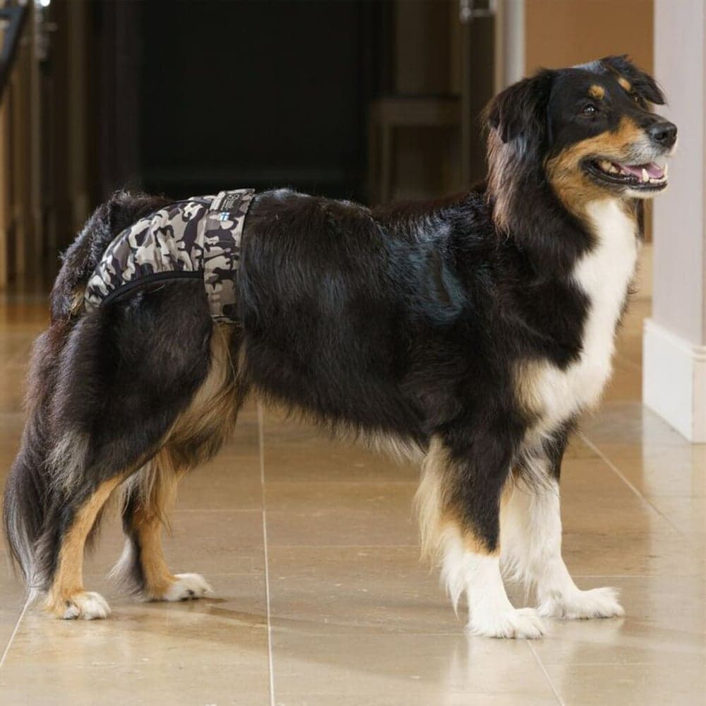 BRENDA narttujen juoksuhousut, camo, M-XL, view: 2