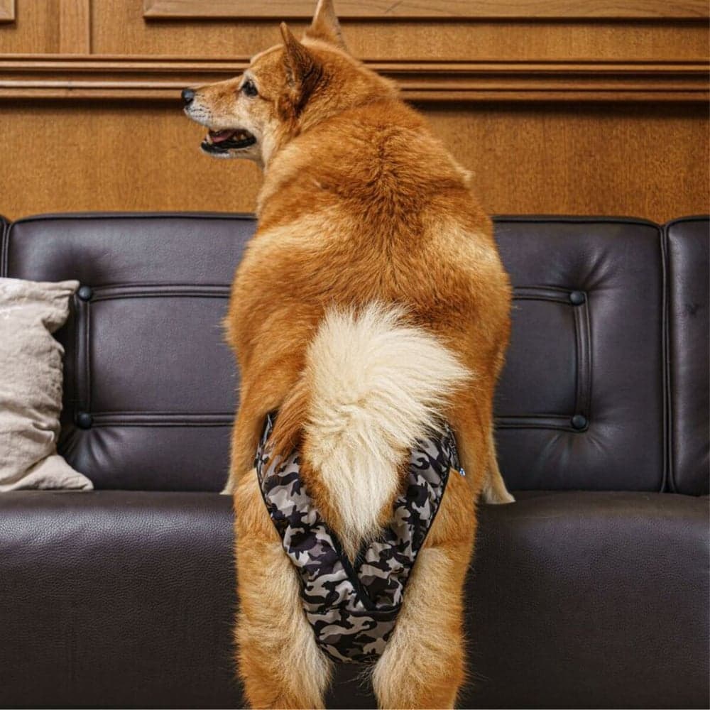 BRENDA narttujen juoksuhousut, camo, M-XL, view: 5