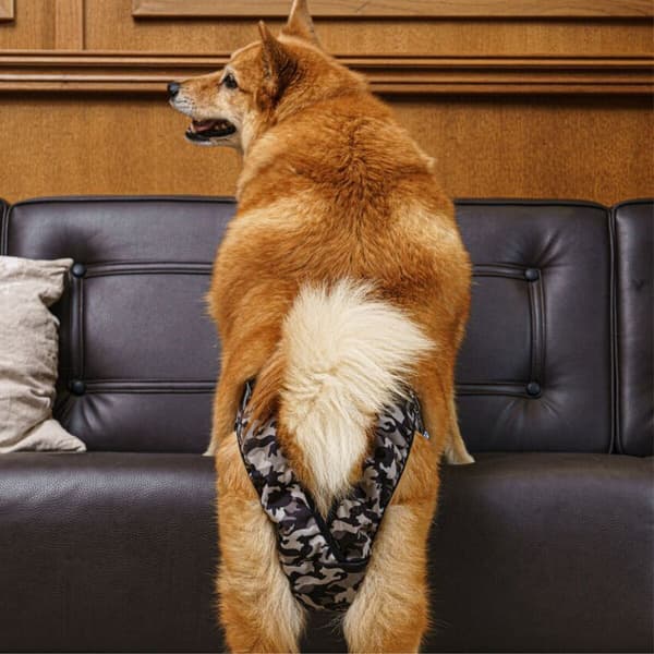 FinNero BRENDA narttujen juoksuhousut, M-XL, camo, view: 5