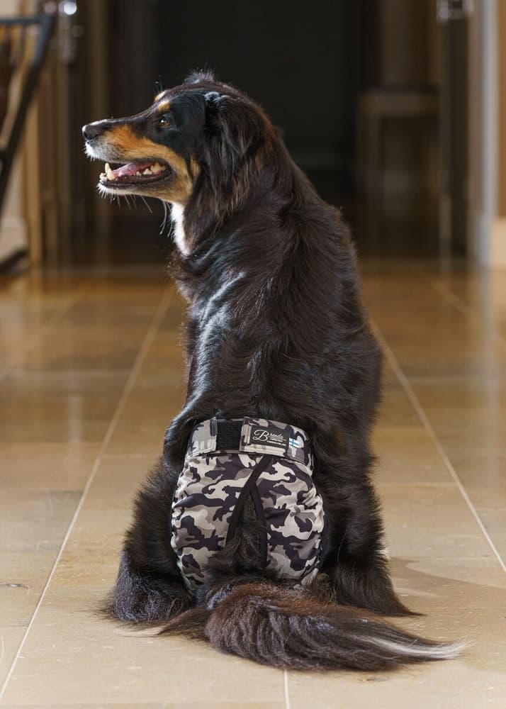 FinNero BRENDA narttujen juoksuhousut, XS-S, camo, view: 3