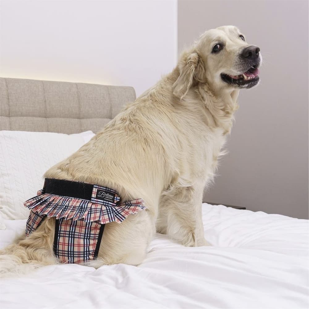 FinNero BALLERINA narttujen juoksuhousut, S, beige, view: 2