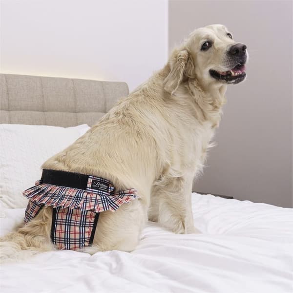 FinNero BALLERINA narttujen juoksuhousut, XS, beige, view: 2