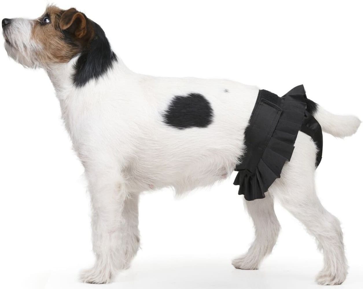 Narttujen juoksuhousut BALLERINA, XL, musta, view: 2