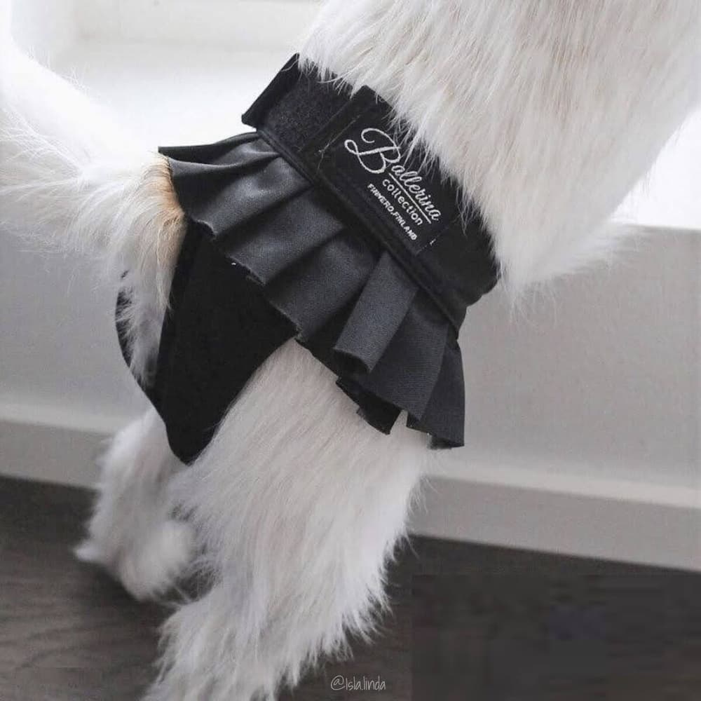 Narttujen juoksuhousut BALLERINA, XL, musta, view: 4