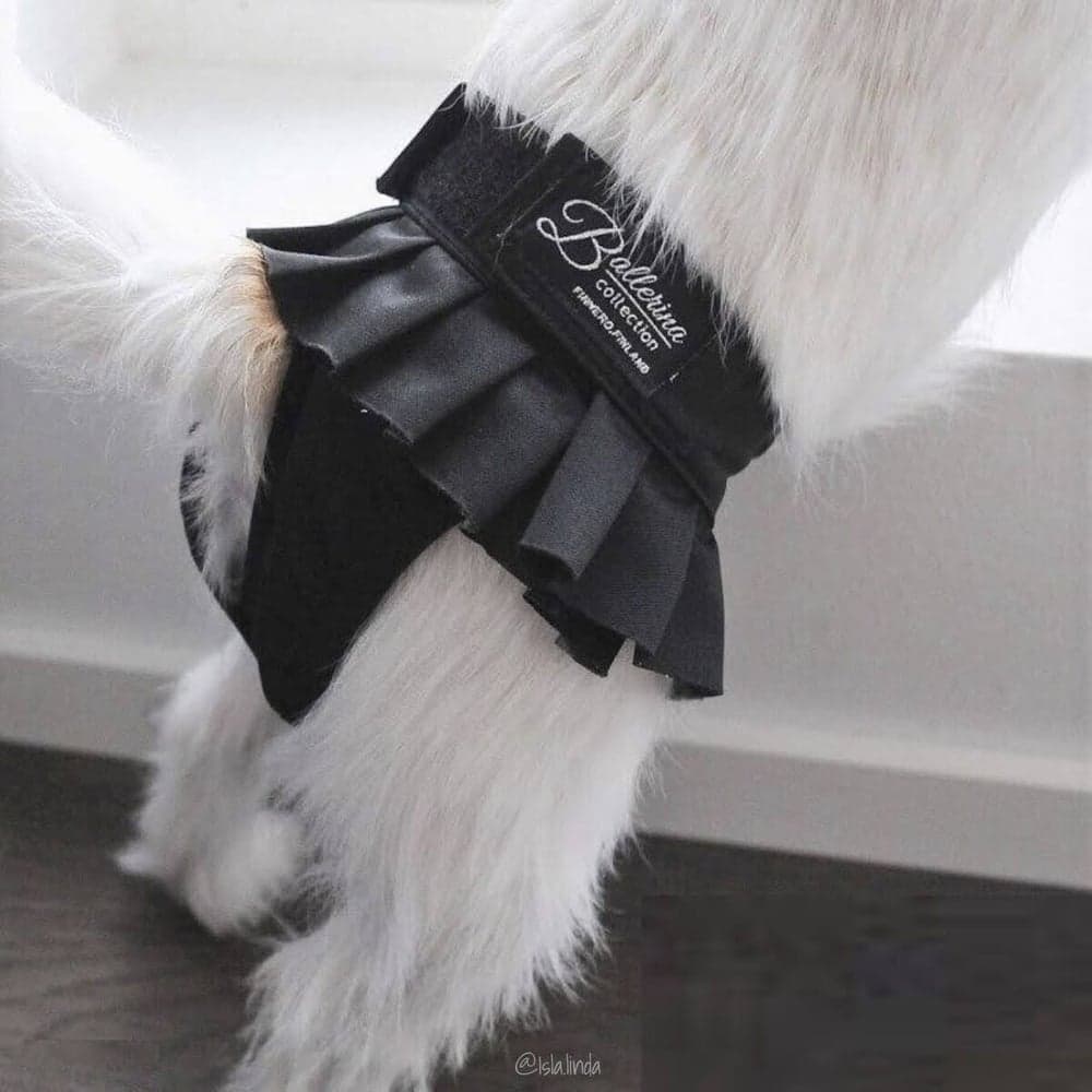 FinNero BALLERINA narttujen juoksuhousut, XS, musta, view: 4