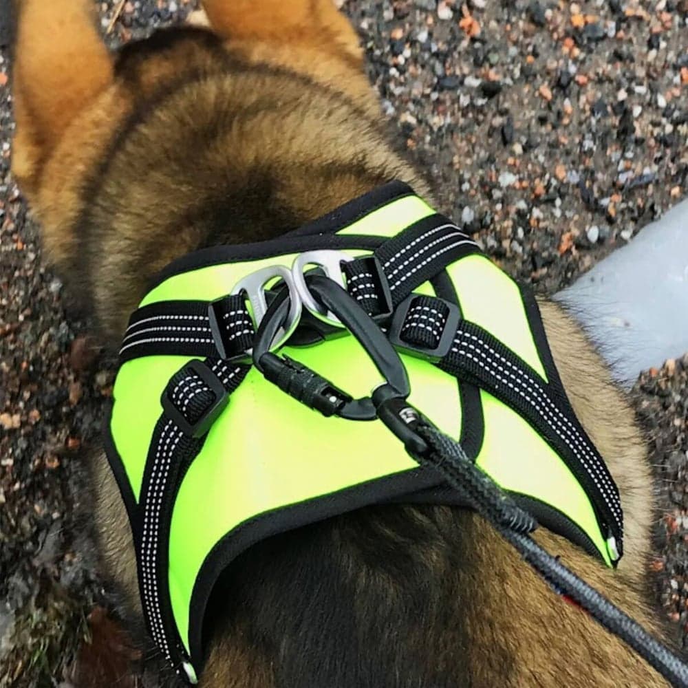 HALI liivivaljaat, musta/keltainen, L, view: 8