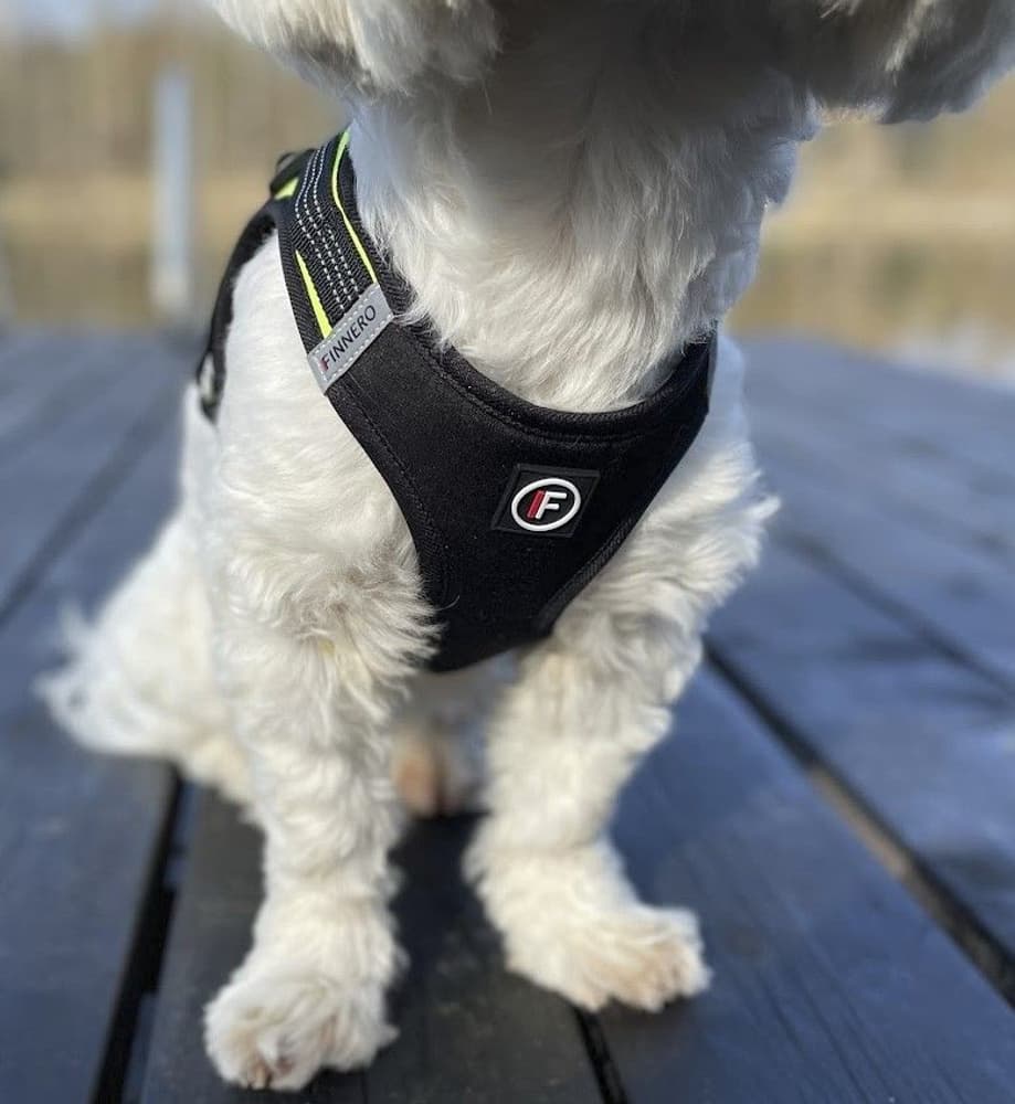 FinNero HALI liivivaljaat, S, musta/keltainen, view: 6