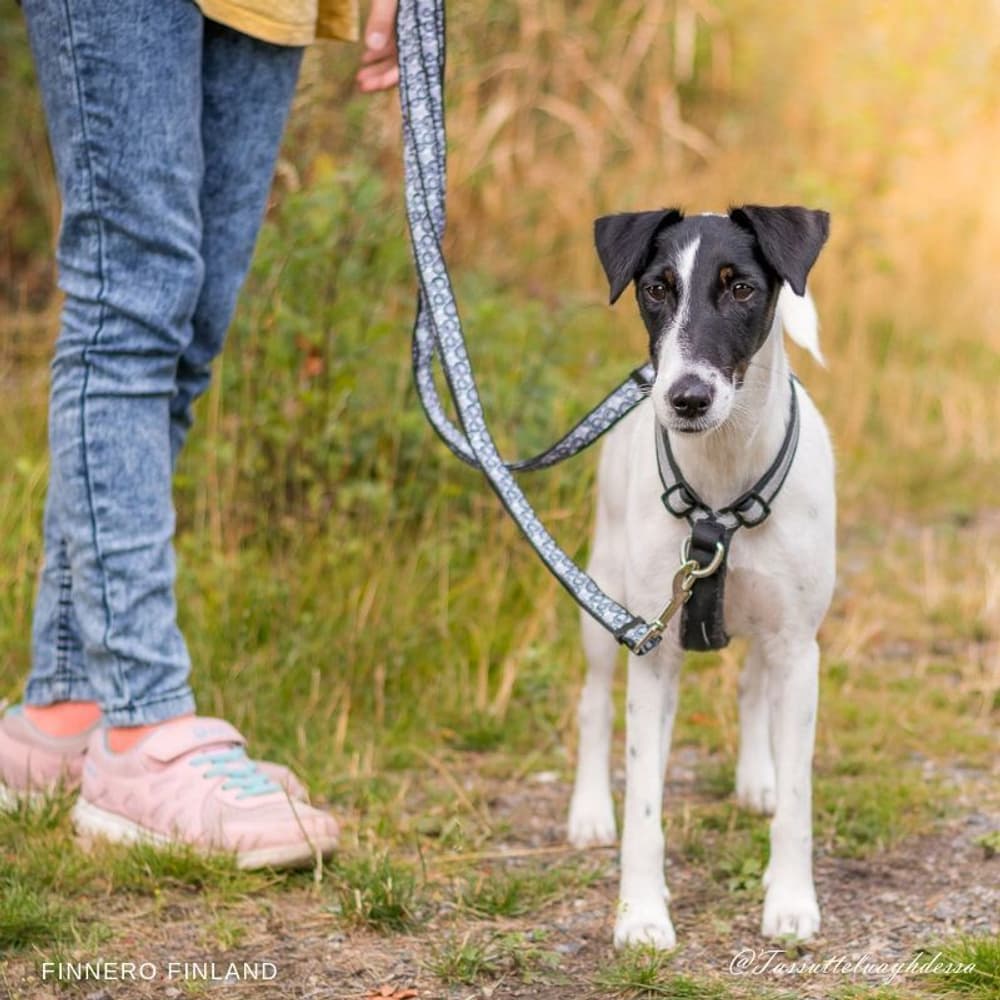 SALO koulutusvaljaat, musta, M, view: 2