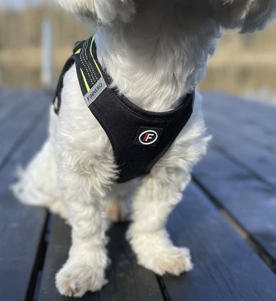 FinNero HALI liivivaljaat, XS, musta/keltainen, view: 7