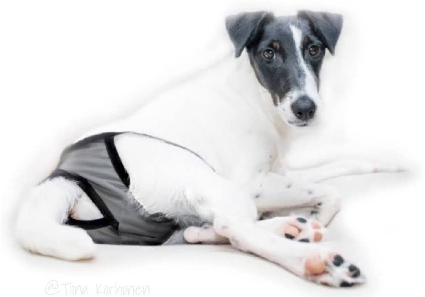 FinNero BRENDA narttujen juoksuhousut, XS-S, tummanharmaa, view: 2