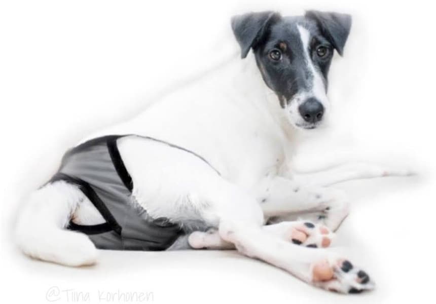 FinNero BRENDA narttujen juoksuhousut, XS-S, tummanharmaa, view: 2