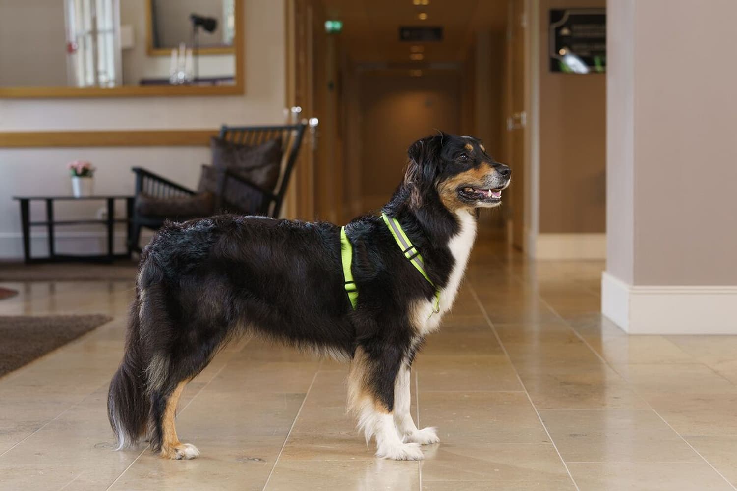 SALO koulutusvaljaat, vaaleankeltainen, XS, view: 4