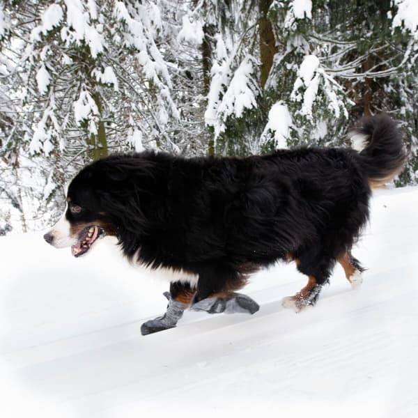 FinNero HALLA LUX tossut, XS-S, 2kpl, harmaa, view: 2