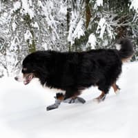 FinNero HALLA LUX tossut, XS-S, 2kpl, harmaa - view: 2