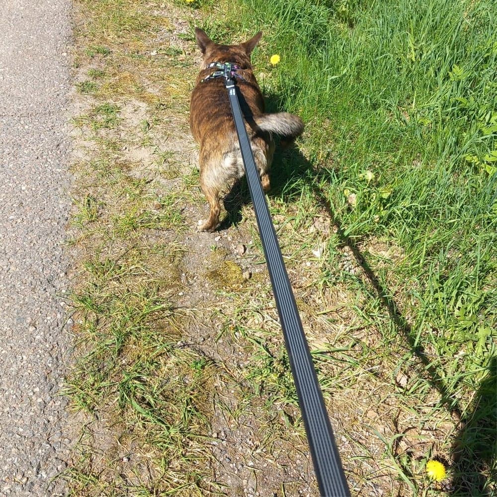 FinNero RESCUE luistamaton talutushihna, 2 cm, musta, view: 3