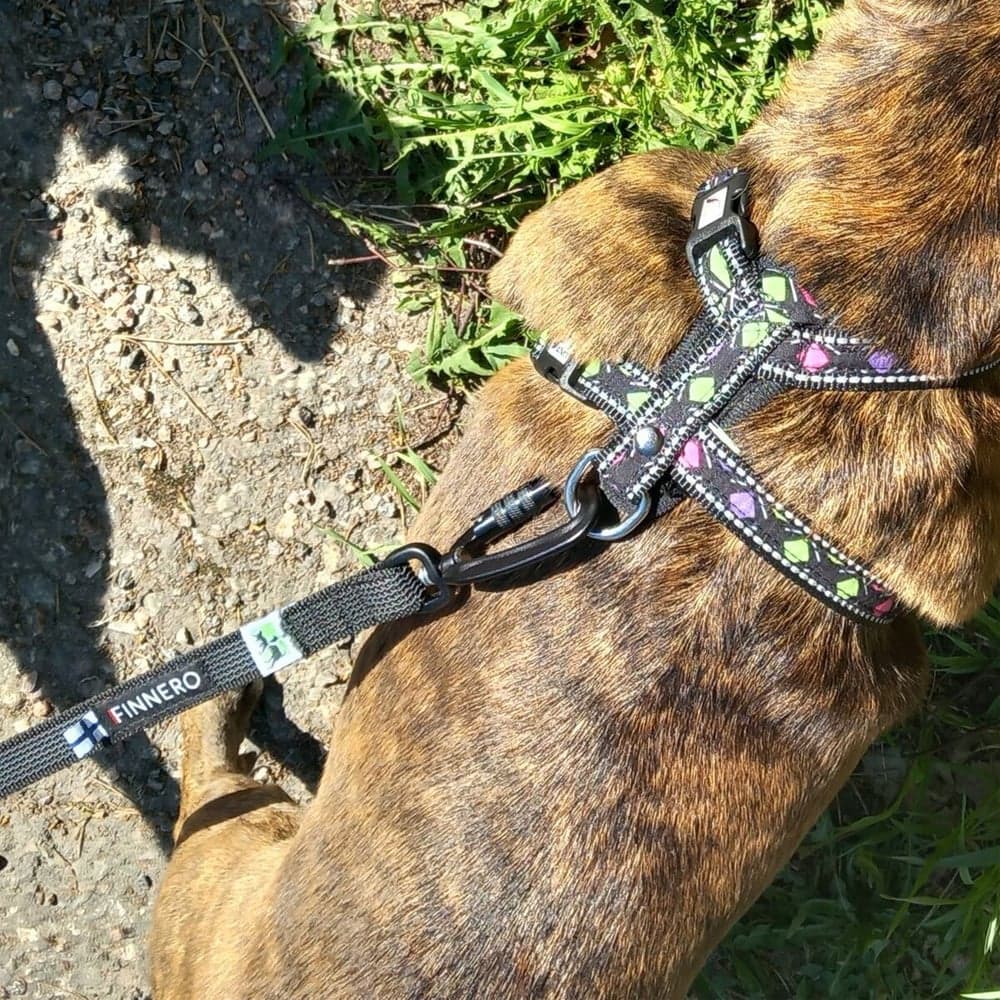 FinNero RESCUE luistamaton talutushihna, 2 cm, musta, view: 2