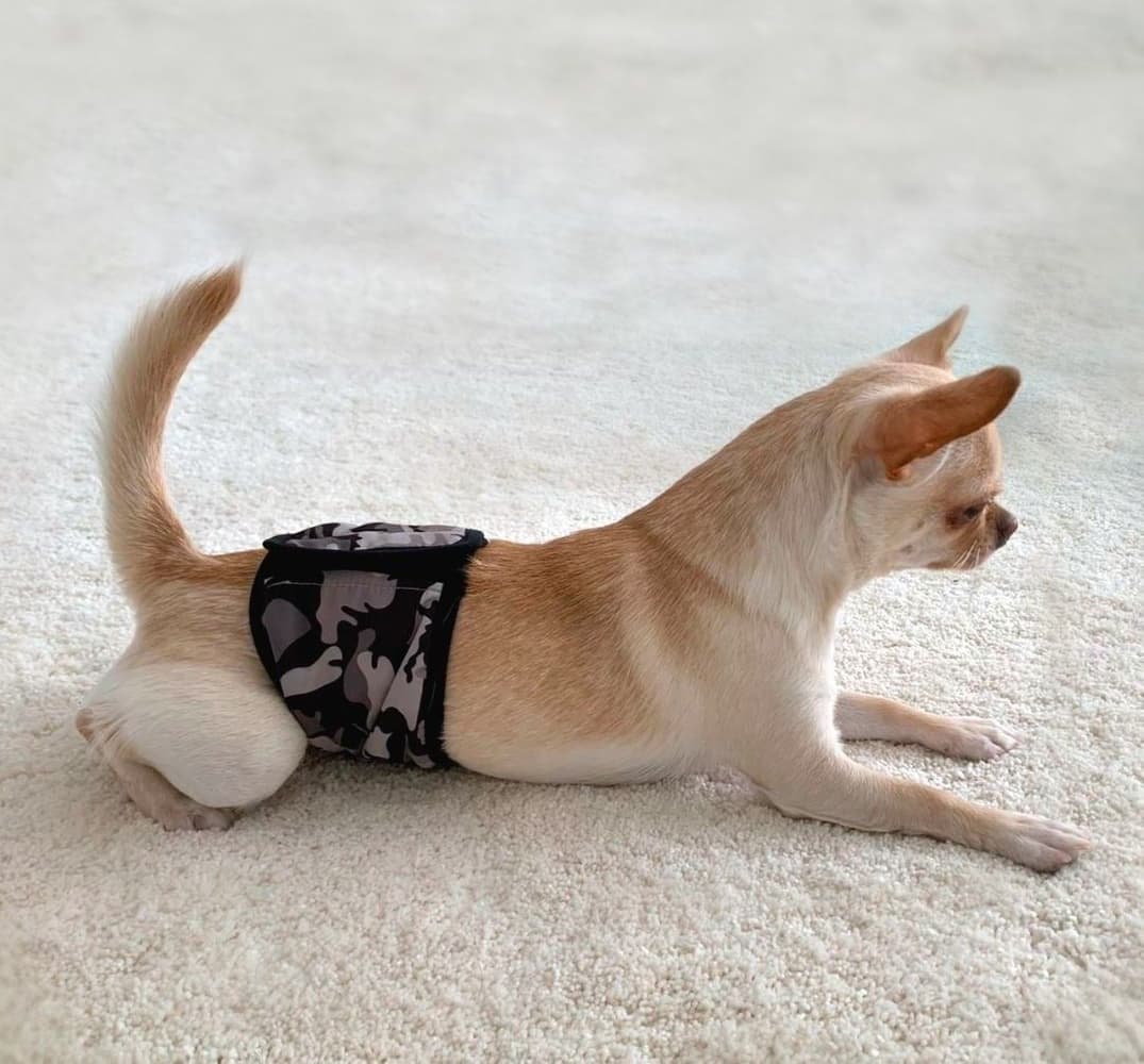 Urossuoja JustinCase Camo L, view: 4