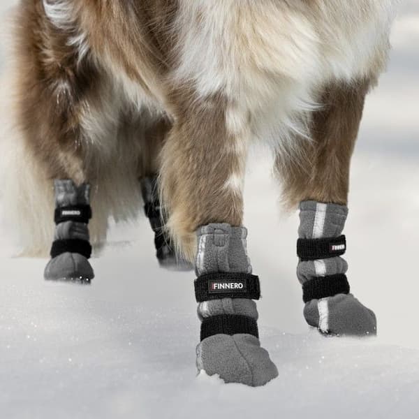 FinNero Hundsko HALLA koiran tossut, XL, 4-pack, Reflex Grå, view: 1