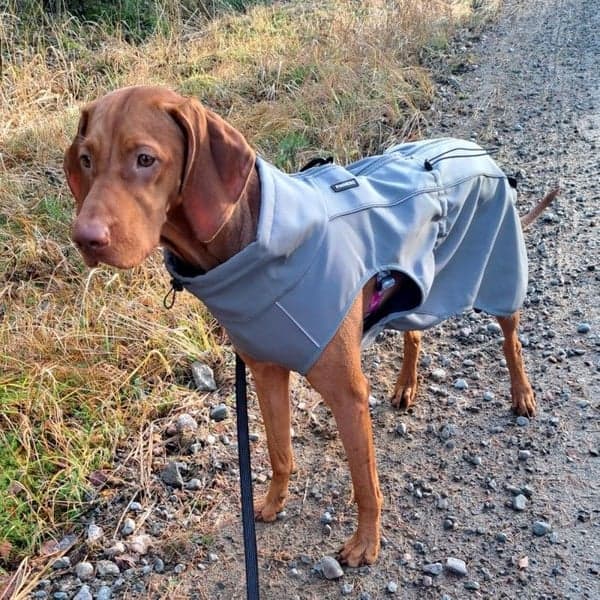 Softshelltäcke Sport Grey 25 cm, view: 7