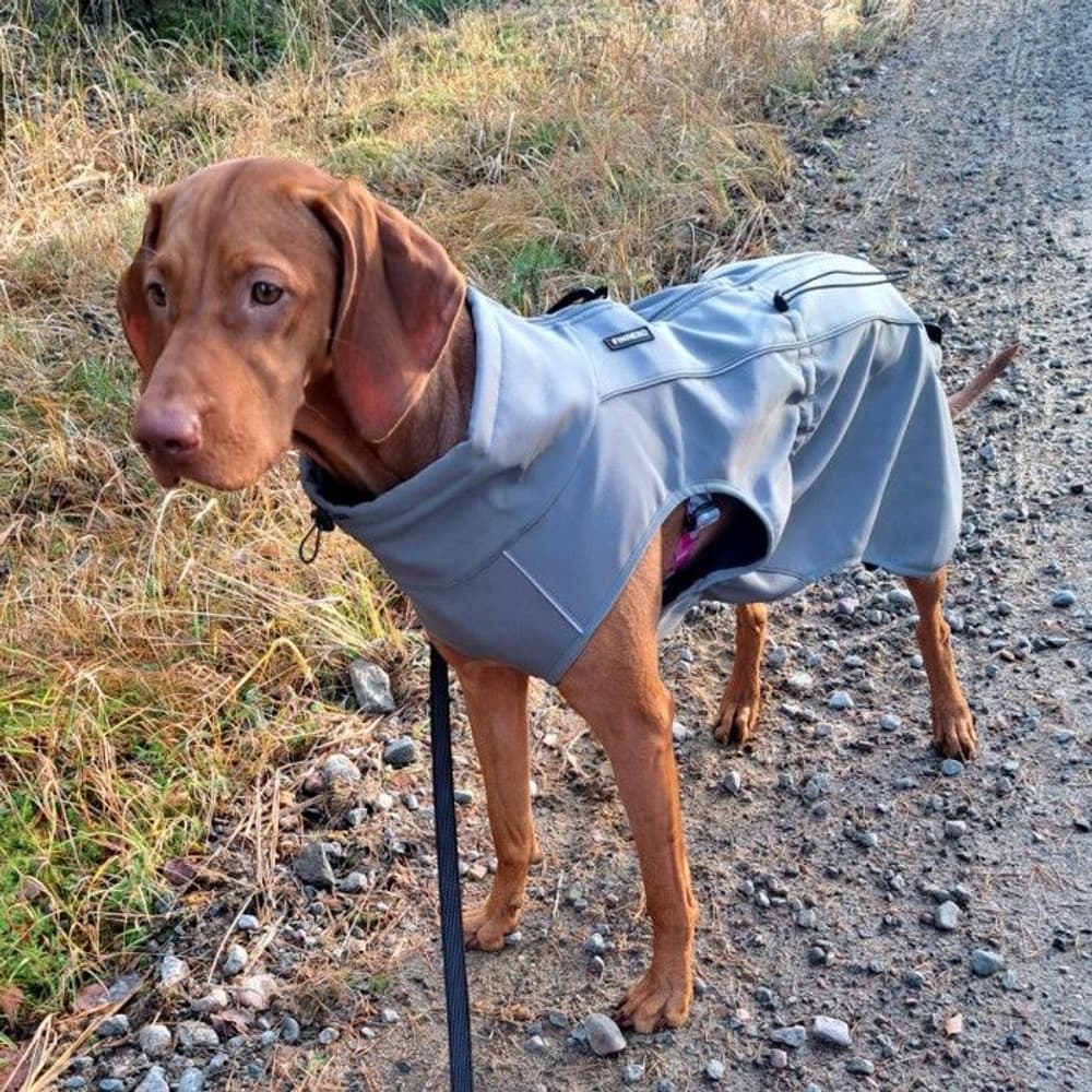 Softshell-takki Sport harmaa 35 cm, view: 6