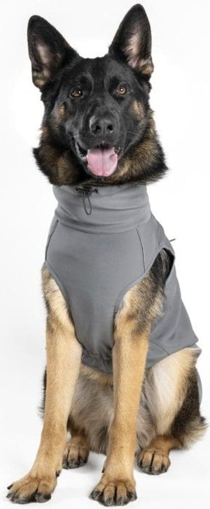 Softshell-takki Sport, harmaa 45 cm, view: 0