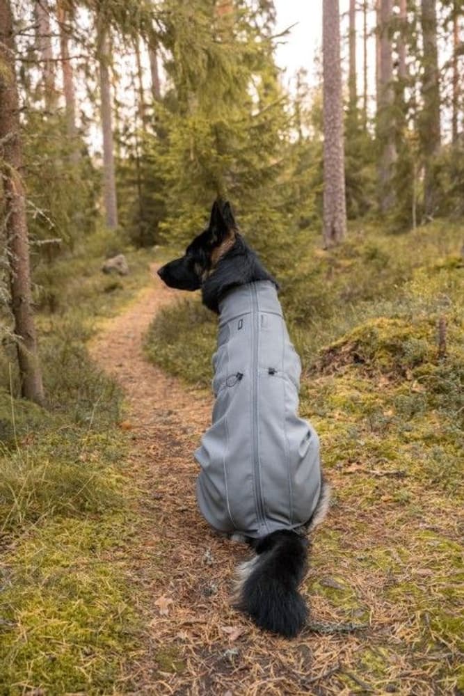 Softshell-koirantakki Sport, harmaa 55 cm, view: 8