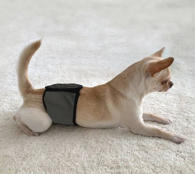 FinNero JustinCase urossuoja, L, musta, view: 4