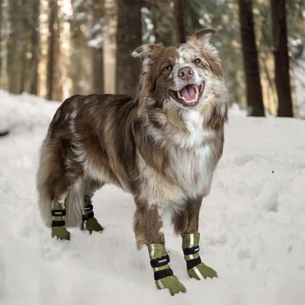 FinNero Hundsko HALLA koiran tossut, XL, 4-pack, Reflex Grön, view: 2