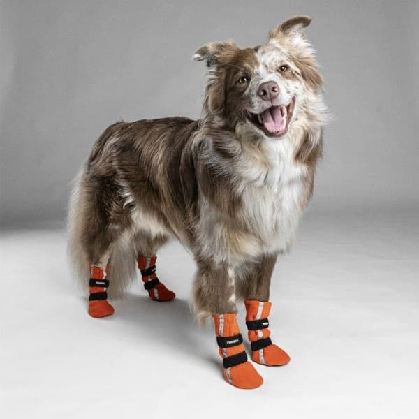 FinNero Hundsko HALLA koiran tossut, M-L, 4-pack, Reflex Orange, view: 2