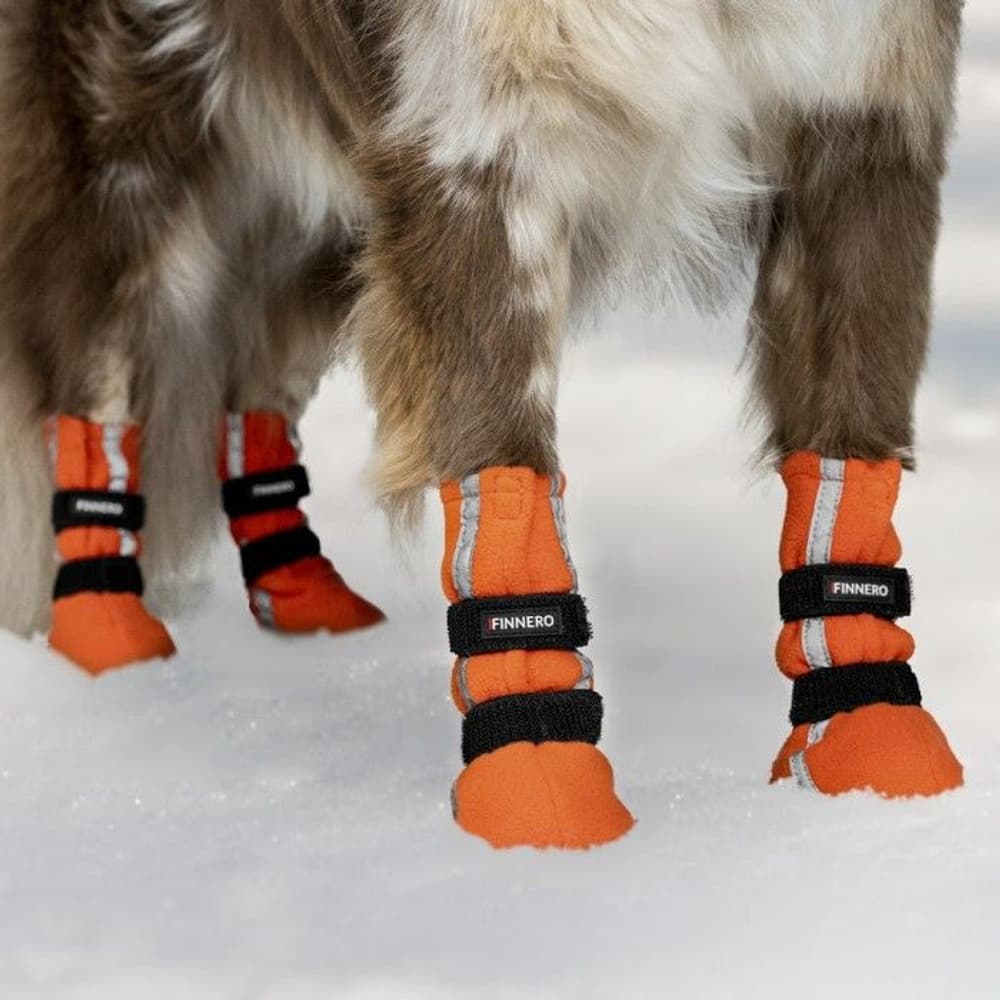 Koiran tossut HALLA Reflex Orange M-L 4-pack, view: 1