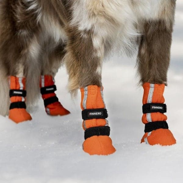 FinNero Hundsko HALLA koiran tossut, M-L, 4-pack, Reflex Orange, view: 1