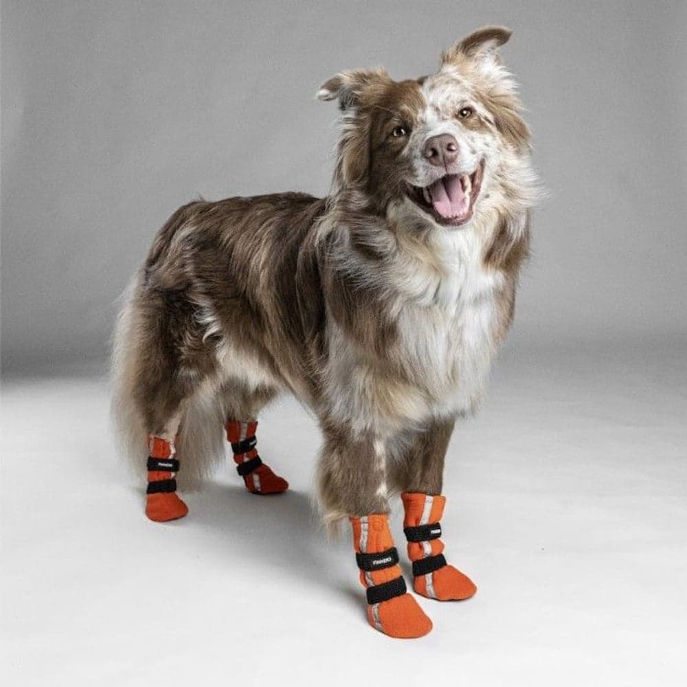 HALLA koiran tossut, Reflex Orange XXS-S, 4-pack, view: 2