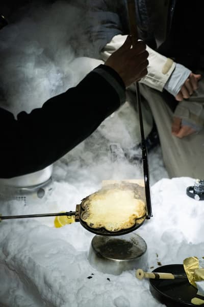 Vildmark Vohvelirauta, view: 3